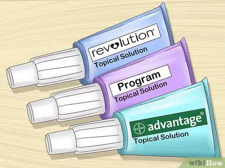 Imagen titulada Get Rid of Fleas on Rabbits Step 1