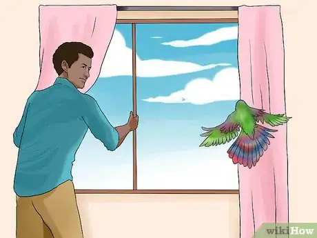 Imagen titulada Chase a Bird out of an Enclosed Porch or a House Step 5