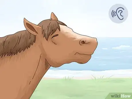 Imagen titulada Tell if a Horse Is Frightened Step 6