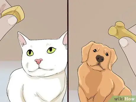 Imagen titulada Introduce a Cat to a Dog Step 11