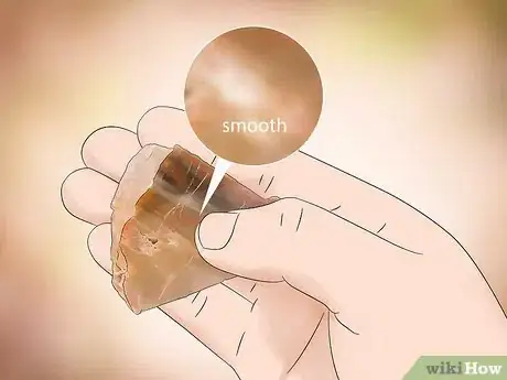 Imagen titulada Identify Petrified Wood Step 1