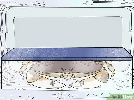 Imagen titulada Cook a Crab Step 1