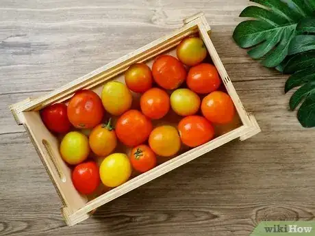 Imagen titulada Store Tomatoes (Long Term) Step 5