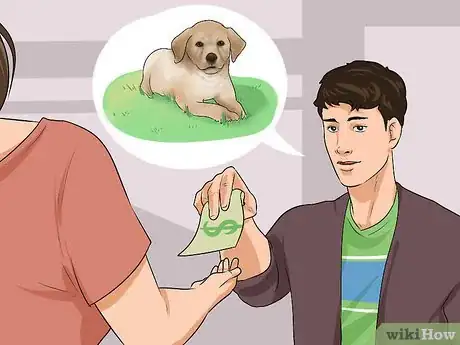 Imagen titulada Buy a Labrador Retriever Puppy Step 13