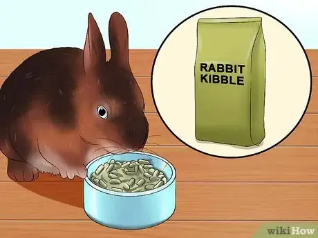 Imagen titulada Care for Rex Rabbits Step 12