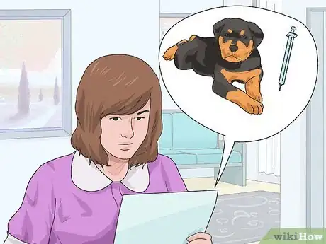 Imagen titulada Bring a Dog Into the United States Step 5