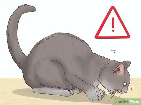 Imagen titulada Help a Cat Cough Up a Hairball Step 8