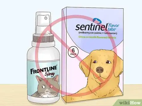 Imagen titulada Get Rid of Fleas on Rabbits Step 4