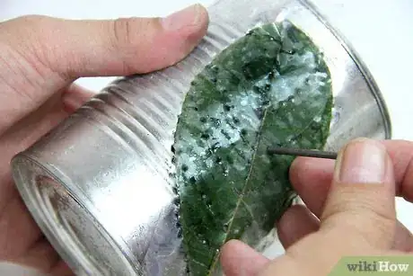 Imagen titulada Make Garden Lanterns from Old Tin Cans Step 11