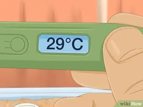 Imagen titulada Take Care of Lizard Eggs Step 13