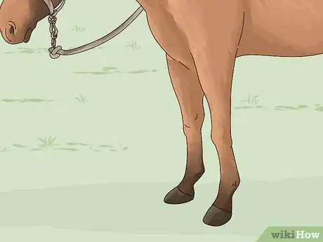 Imagen titulada Tell if a Horse Is Frightened Step 4