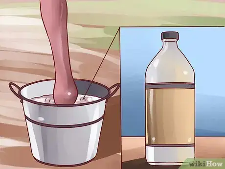 Imagen titulada Help a Horse Recover from Founder Step 11