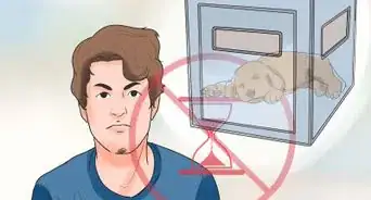 entrenar o ayudar a que tu cachorro deje de llorar cuando esté encerrado o afuera