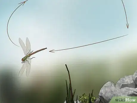 Imagen titulada Catch Dragonflies Step 5