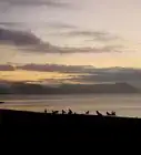 evitar distraerte cuando estás intentando hacer algo