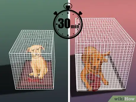 Imagen titulada Introduce a Puppy to a Dog Step 17