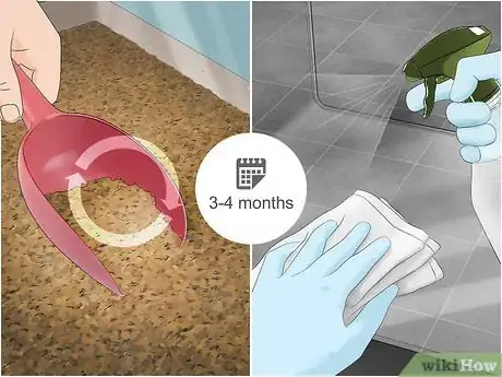 Imagen titulada Care for Emperor Scorpions Step 6