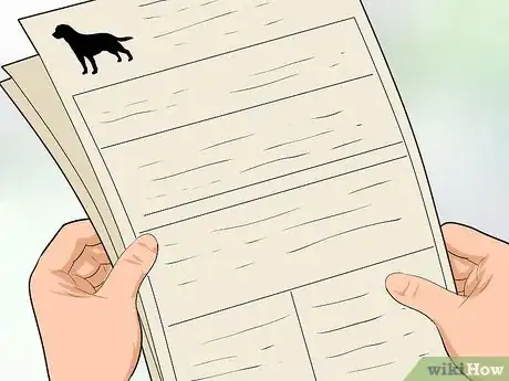 Imagen titulada Buy a Labrador Retriever Puppy Step 15