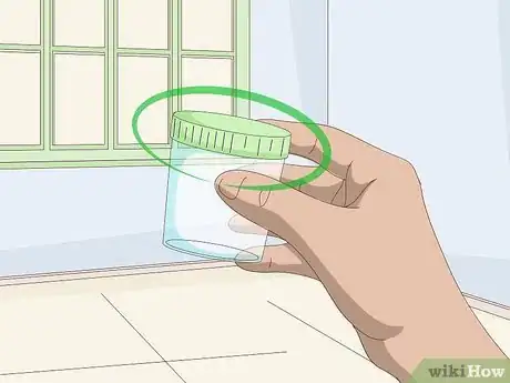 Imagen titulada Get a Urine Sample from a Male Dog Step 2