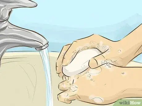 Imagen titulada Administer a Rabies Vaccination Step 1