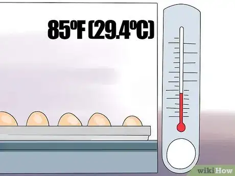 Imagen titulada Breed and Incubate Pheasants Step 14