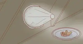 sacar a las ardillas del ático