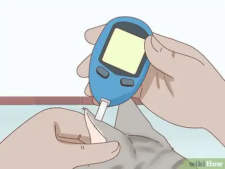 Imagen titulada Check Blood Sugar of a Cat Step 12