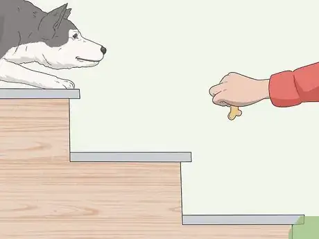 Imagen titulada Train a Scared Dog to Go Down the Stairs Step 7