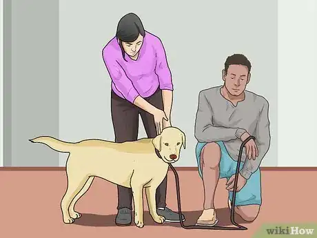 Imagen titulada Train a Dog to Come Step 15