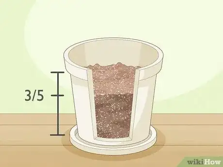 Imagen titulada Plant Date Seeds Step 11