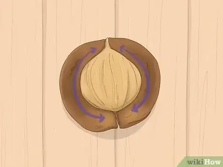 Imagen titulada Identify Hickory Nuts Step 3