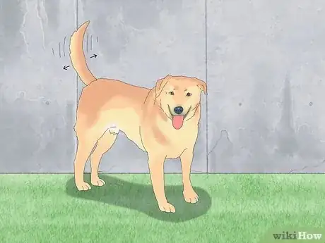 Imagen titulada Pet a Dog Step 7