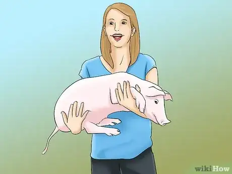 Imagen titulada Show Your Pigs Step 1