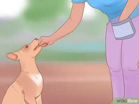 Imagen titulada Stop Your Cat from Attacking Your Dog Step 13