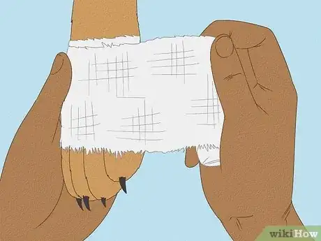 Imagen titulada Wrap a Dog Paw Step 7