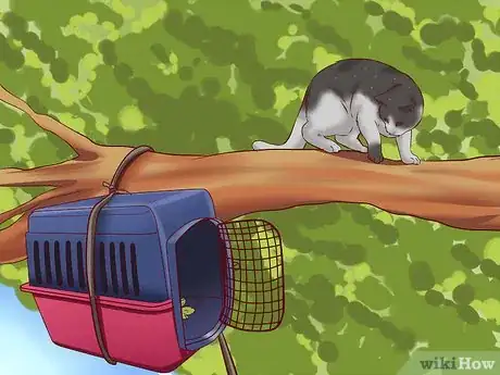 Imagen titulada Get a Cat out of a Tree Step 9