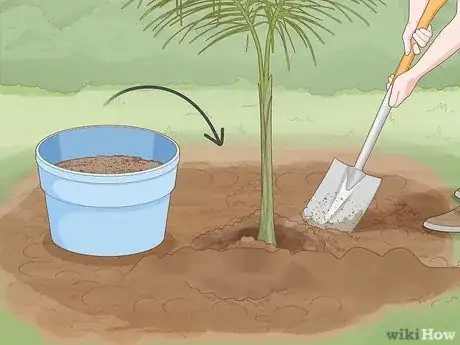 Imagen titulada Plant Date Seeds Step 18