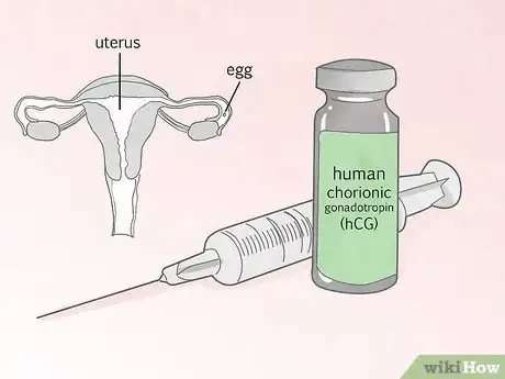 Imagen titulada Increase Luteinizing Hormone Step 3