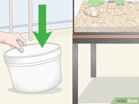 Imagen titulada Clean Fish Tank Rocks Step 7
