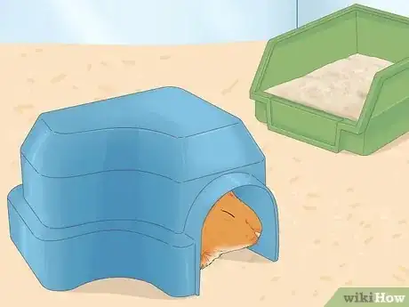 Imagen titulada Potty Train a Hamster Step 11