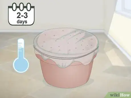 Imagen titulada Make a Grass Pot for Cats Step 4