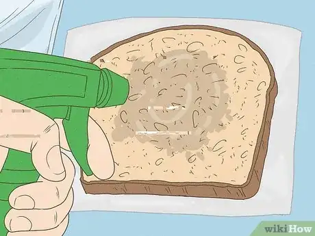 Imagen titulada Make Mold Grow on Bread Step 2