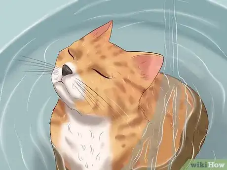 Imagen titulada Clean Your Cat When He Can't Do It Himself Step 32