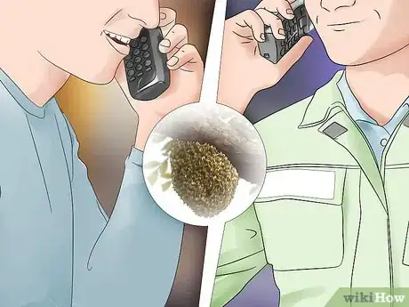 Imagen titulada Get Rid of a Beehive Step 4