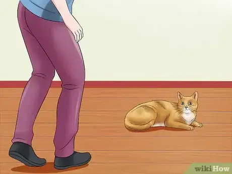 Imagen titulada Pet a High Strung Cat Step 12