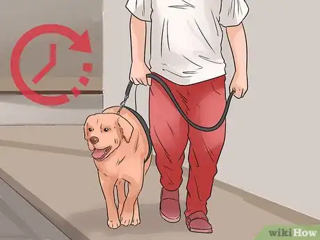 Imagen titulada Exercise a Mother Dog Step 9