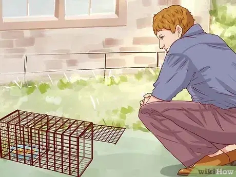 Imagen titulada Catch a Stray Cat Step 8