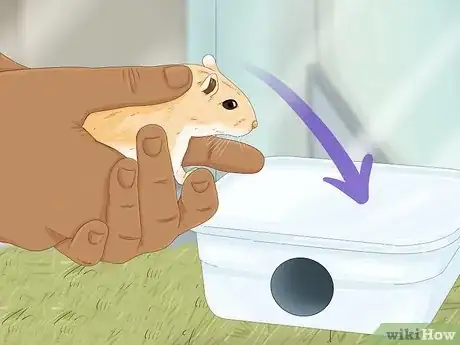 Imagen titulada Potty Train a Hamster Step 10