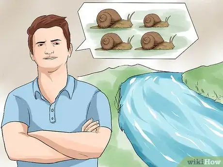Imagen titulada Find a Snail Step 6
