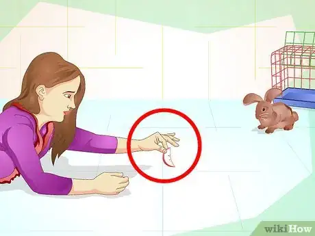 Imagen titulada Make Your Bunny Come to You when You Open the Cage Step 7